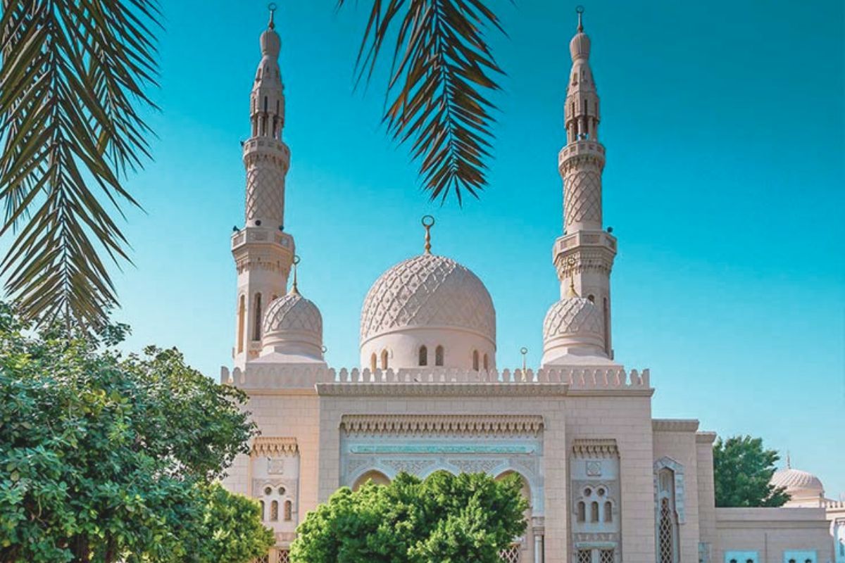 Dubai\'s best pest control company, Al Rasa, has now started in Al Quoz too